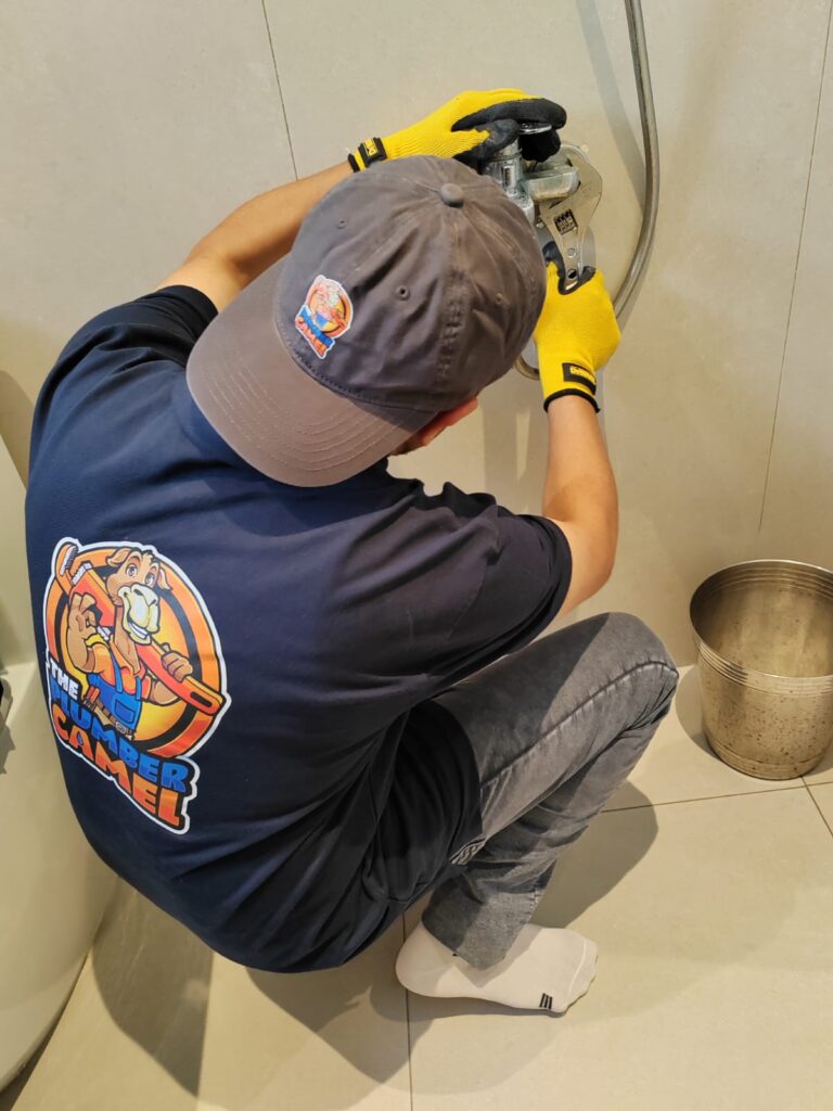 whatsapp image 2025 09 18 at 3.36.39 pm